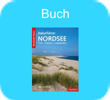 buch.png